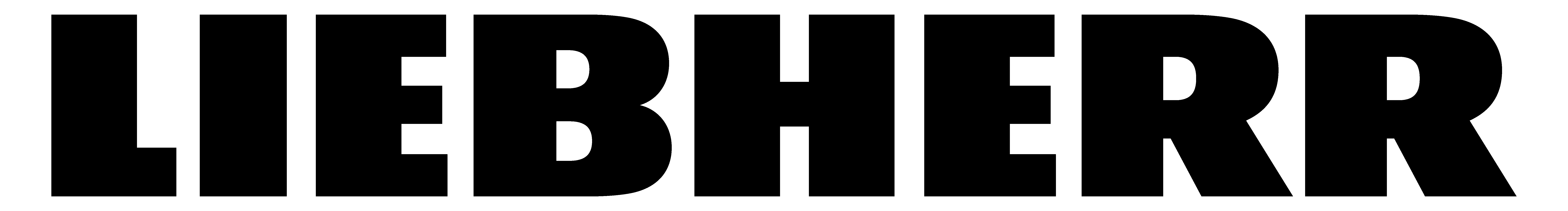 Logo Liebherr-Werk Nenzing GmbH