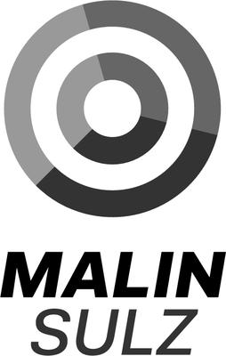 Logo Renault Malin Sulz